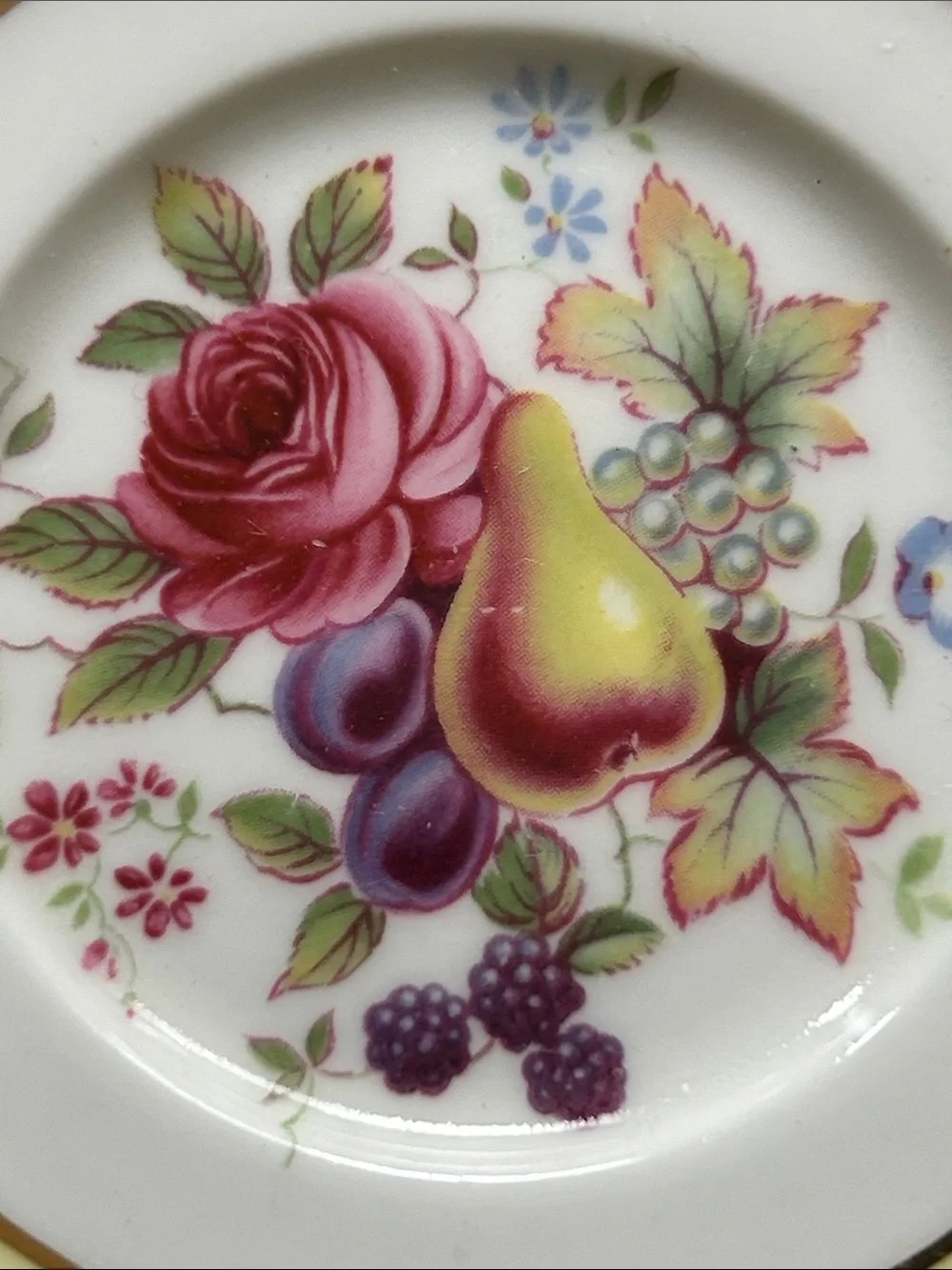 PARAGON Yellow and Gold Floral Fruit Center Porcelain Sauser